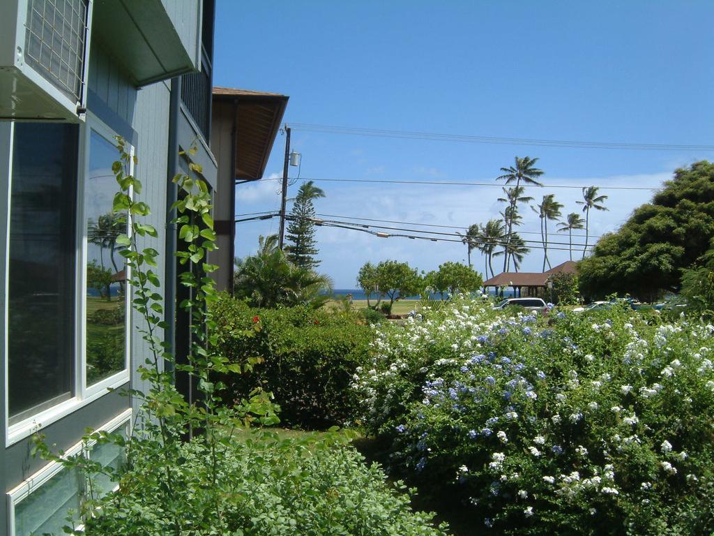 Hale Pua Villa - Seaside Studio コロア エクステリア 写真